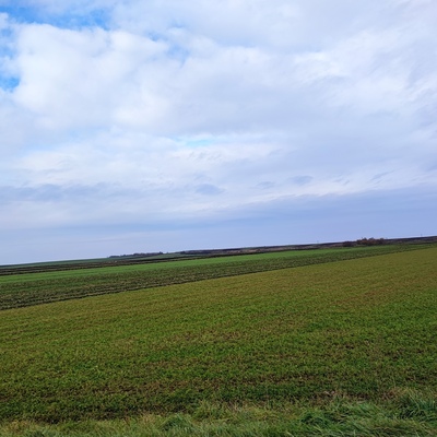 zemljište, na prodaju, Zrenjanin, Bagljaš