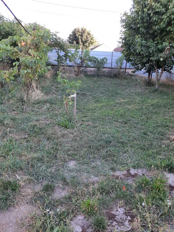 m2Gsigma nekretnine, Zrenjanin okolina, Melenci, trosobna kuća na prodaju, 1619