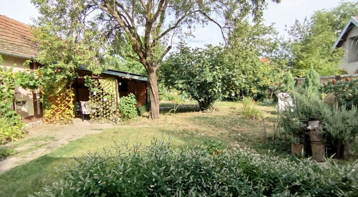 m2Gsigma nekretnine, Zrenjanin, 4. jul, dvoiposobna kuća na prodaju, 1927