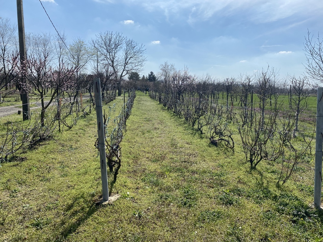 m2Gsigma nekretnine, Zrenjanin, Gradnulica, poslovni prostor na prodaju, 2280