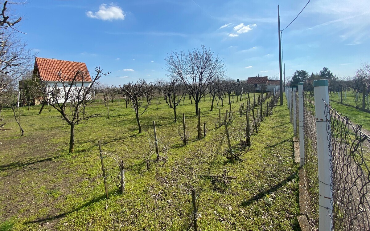 m2Gsigma nekretnine, Zrenjanin, Gradnulica, poslovni prostor na prodaju, 2280