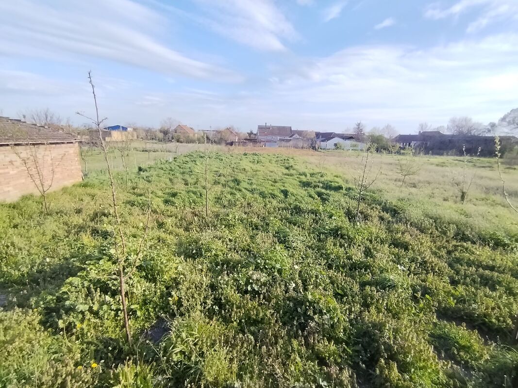 m2Gsigma nekretnine, Žitište okolina, Srpski Itebej, dvoiposobna kuća na prodaju, 2316