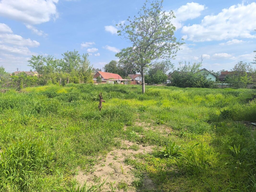 m2Gsigma nekretnine, Zrenjanin, Mužlja, dvosobna kuća na prodaju, 2325