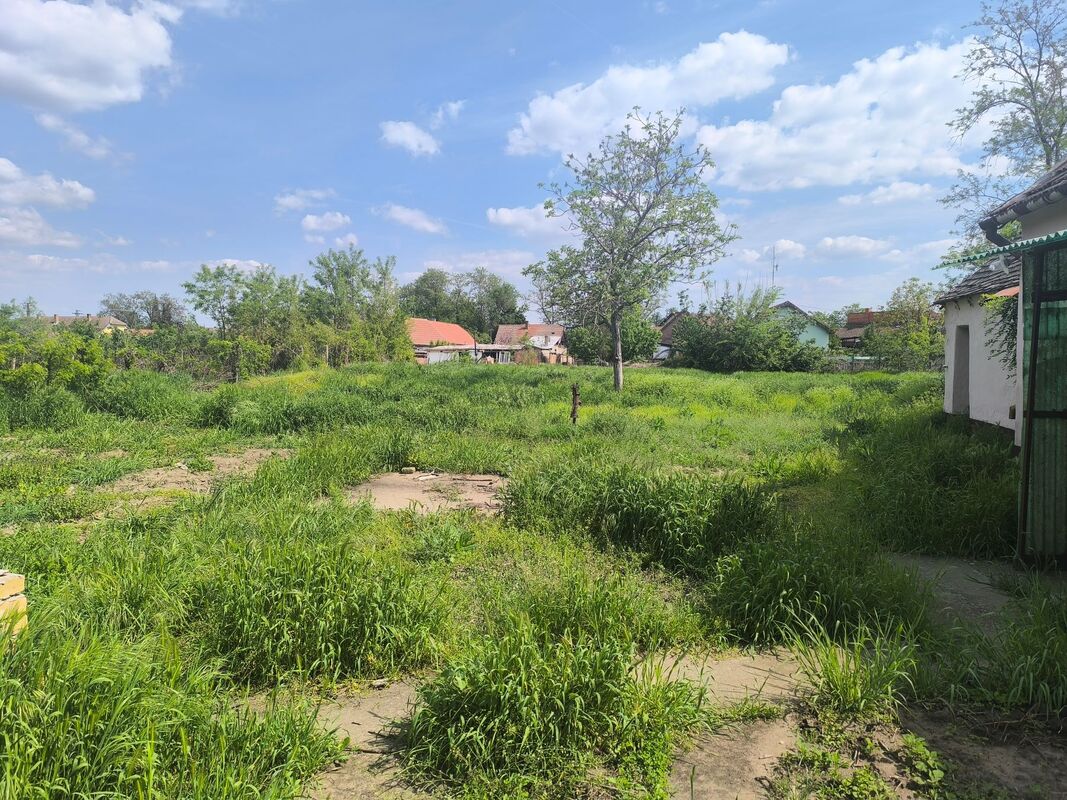 m2Gsigma nekretnine, Zrenjanin, Mužlja, dvosobna kuća na prodaju, 2325