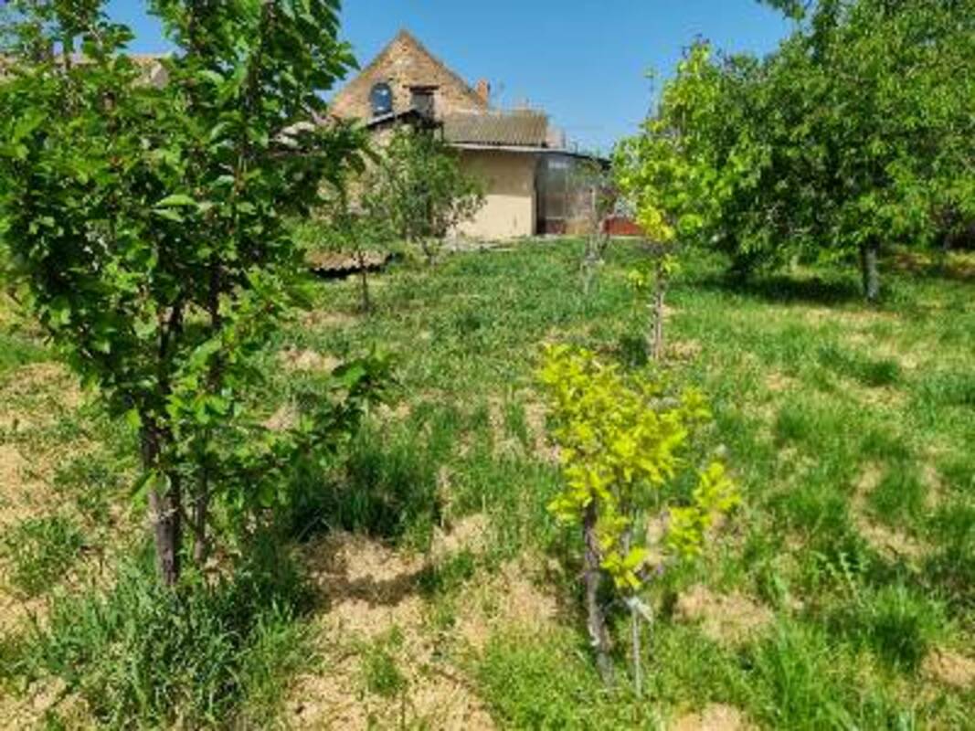 m2Gsigma nekretnine, Žitište okolina, Srpski Itebej, trosobna kuća na prodaju, 2334