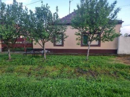 kuća, na prodaju, Žitište, Srpski Itebej