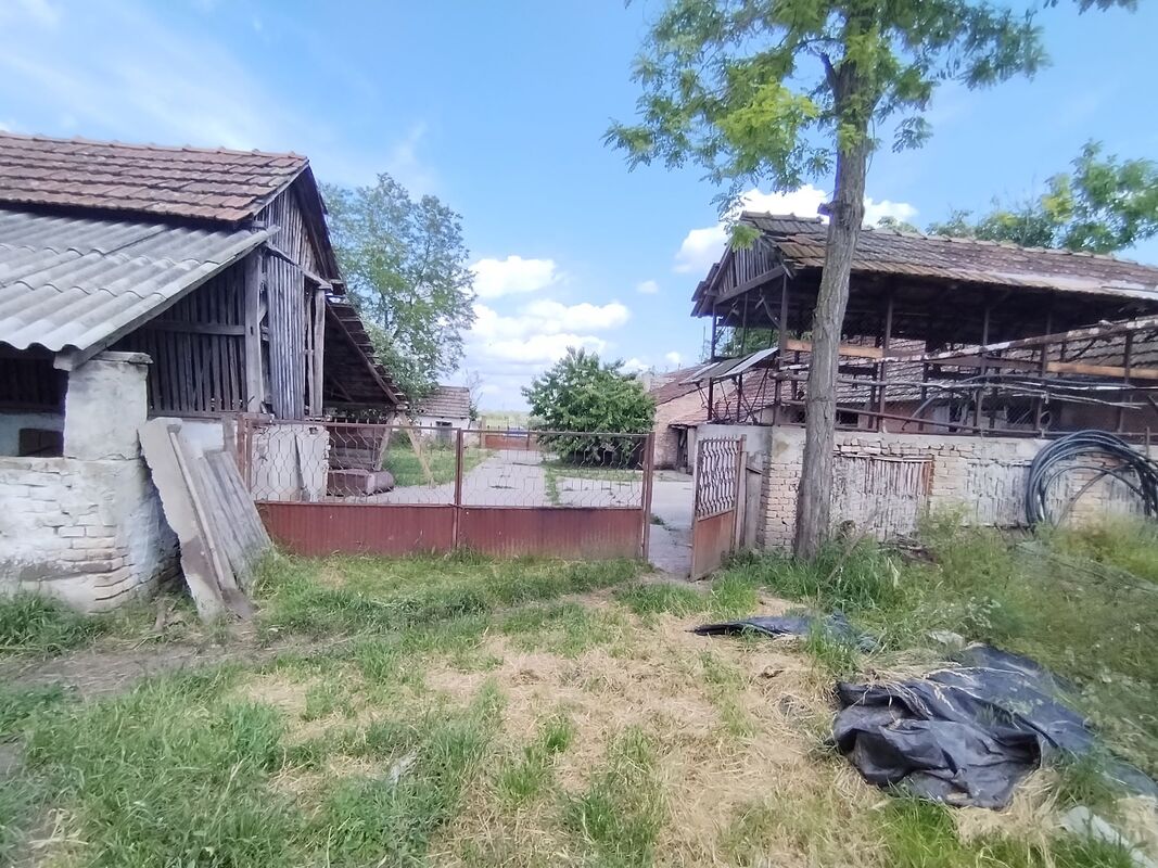 m2Gsigma nekretnine, Zrenjanin okolina, Mihajlovo, trosobna kuća na prodaju, 2346