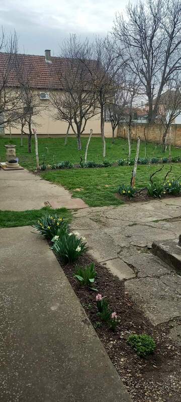 m2Gsigma nekretnine, Zrenjanin okolina, Stajićevo, petosobna kuća na prodaju, 2359