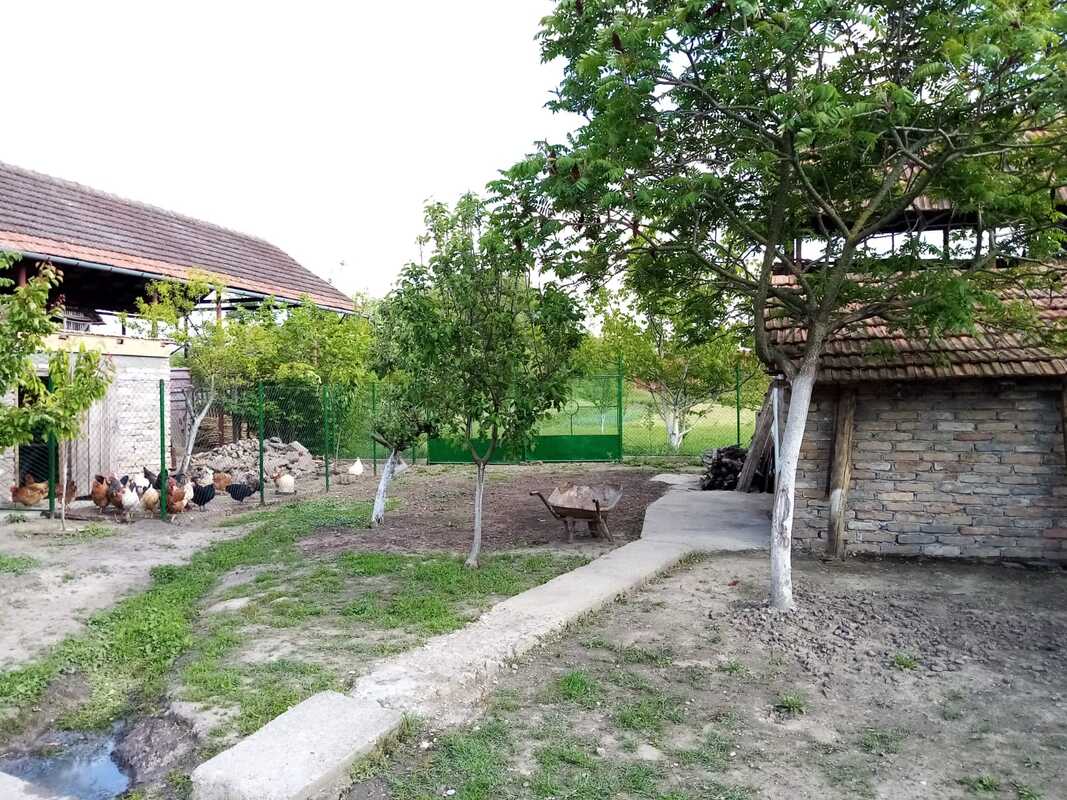 m2Gsigma nekretnine, Žitište okolina, Ravni Topolovac, četvorosobna kuća na prodaju, 2388