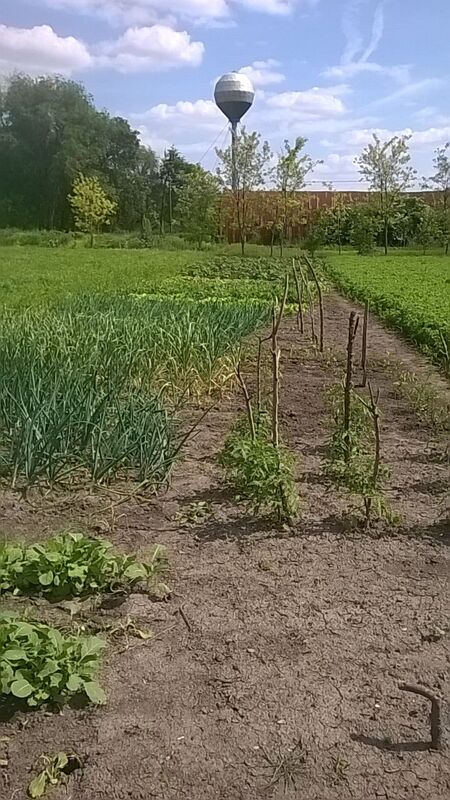 m2Gsigma nekretnine, Žitište okolina, Ravni Topolovac, četvorosobna kuća na prodaju, 2388