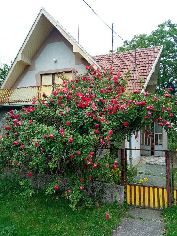 m2Gsigma nekretnine, Sečanj okolina, Šurjan, četvorosobna kuća na prodaju, 2410