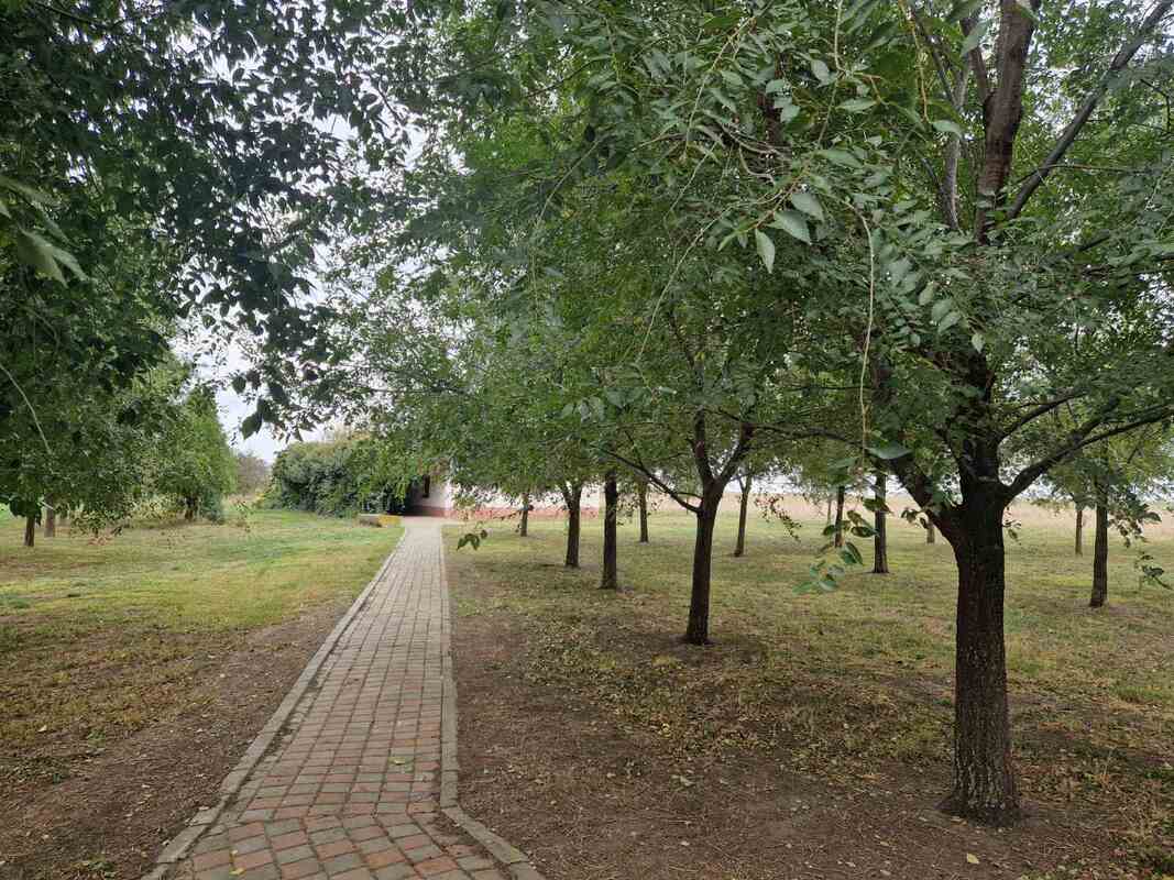 m2Gsigma nekretnine, Zrenjanin okolina, Melenci zemljište na prodaju, 2458