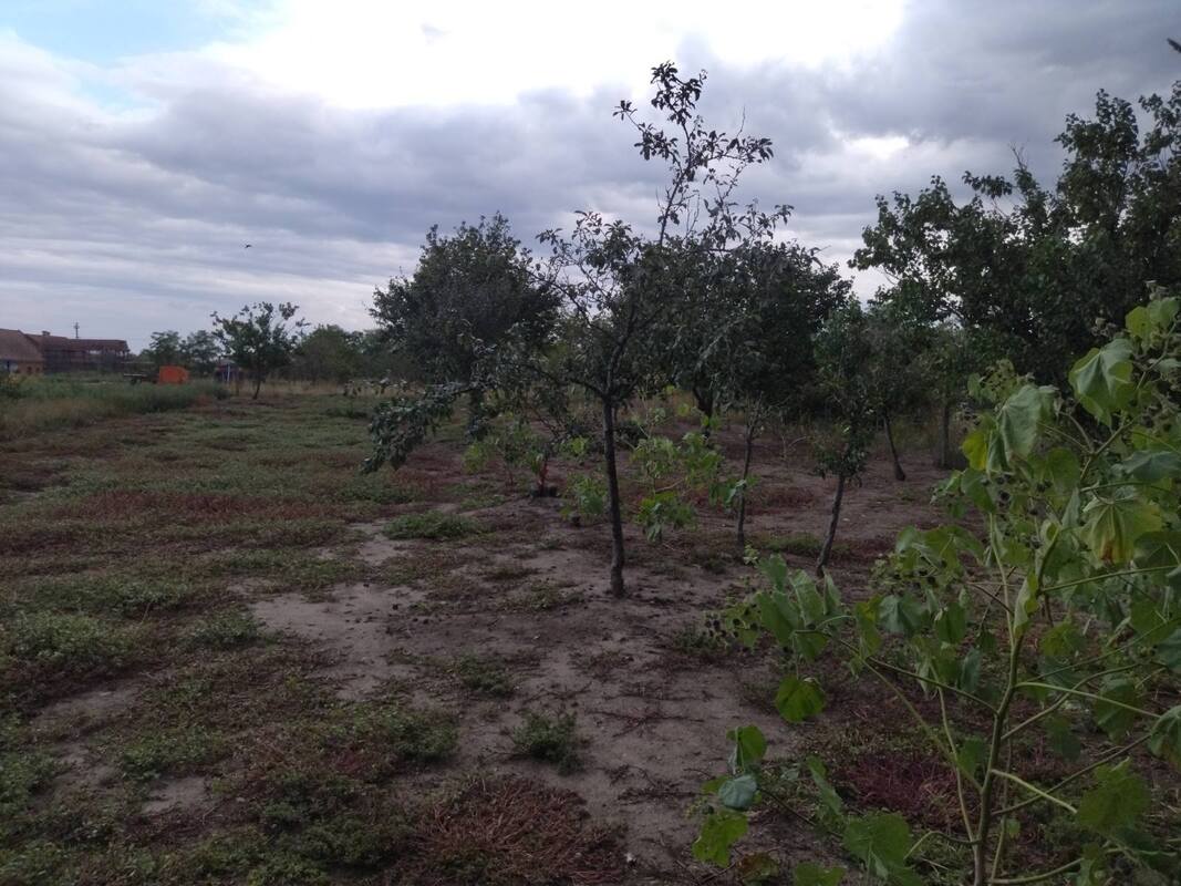 m2Gsigma nekretnine, Novi Bečej okolina, Kumane, petosobna kuća na prodaju, 2462