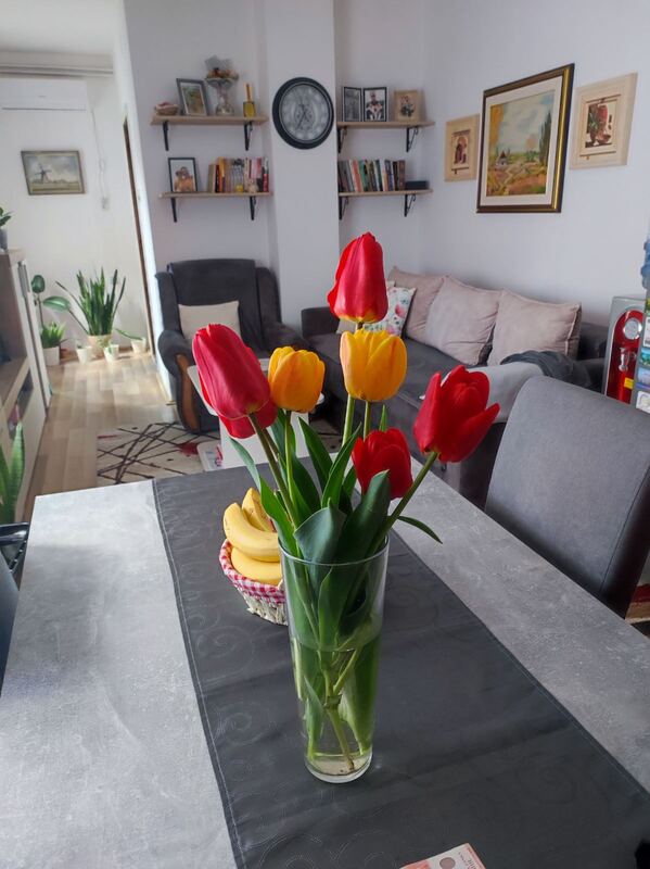 m2Gsigma nekretnine, Zrenjanin, Zeleno polje, dvoiposobna kuća na prodaju, 2463