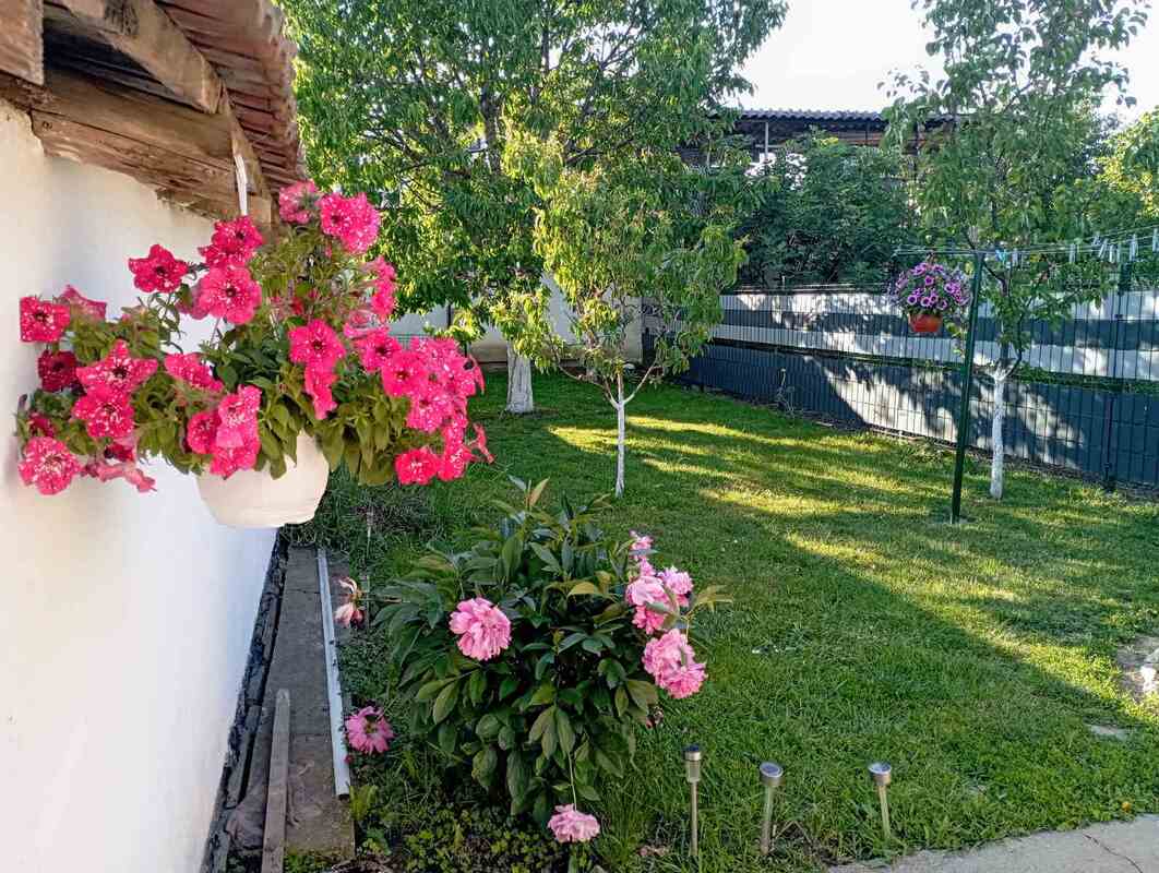 m2Gsigma nekretnine, Zrenjanin, Zeleno polje, dvoiposobna kuća na prodaju, 2463