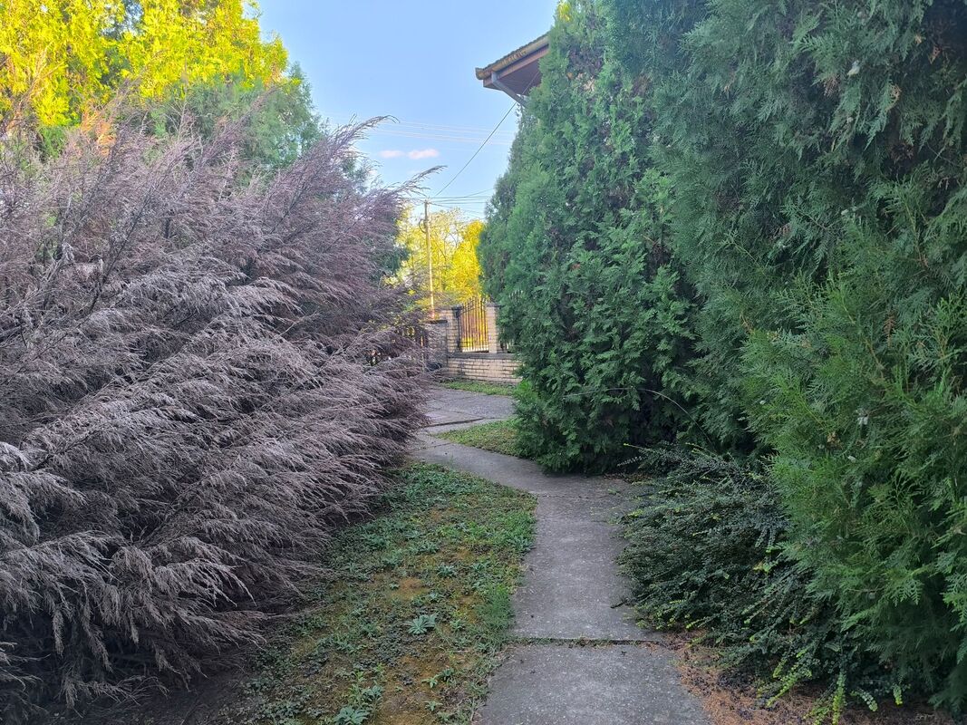 m2Gsigma nekretnine, Zrenjanin, Zeleno polje, dvosobna kuća na prodaju, 2468