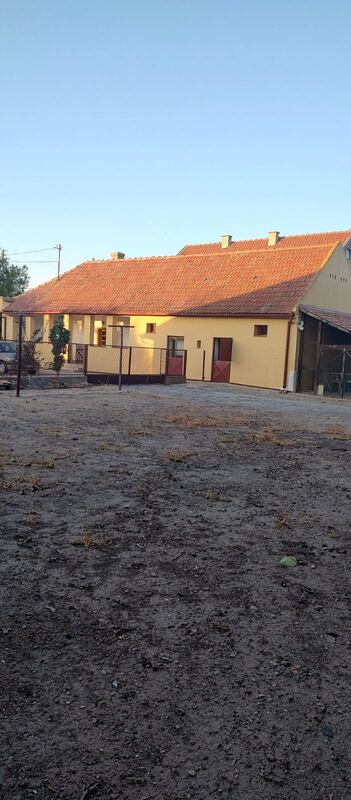 m2Gsigma nekretnine, Žitište okolina, Torak, petoiposobna kuća na prodaju, 2477