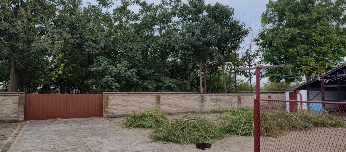 m2Gsigma nekretnine, Žitište okolina, Torak, petoiposobna kuća na prodaju, 2477