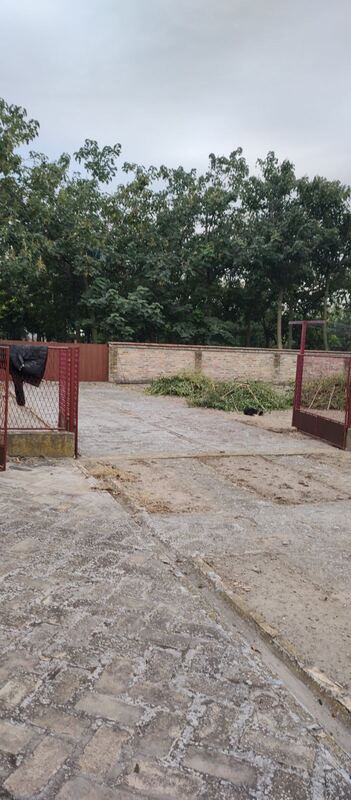 m2Gsigma nekretnine, Žitište okolina, Torak, petoiposobna kuća na prodaju, 2477