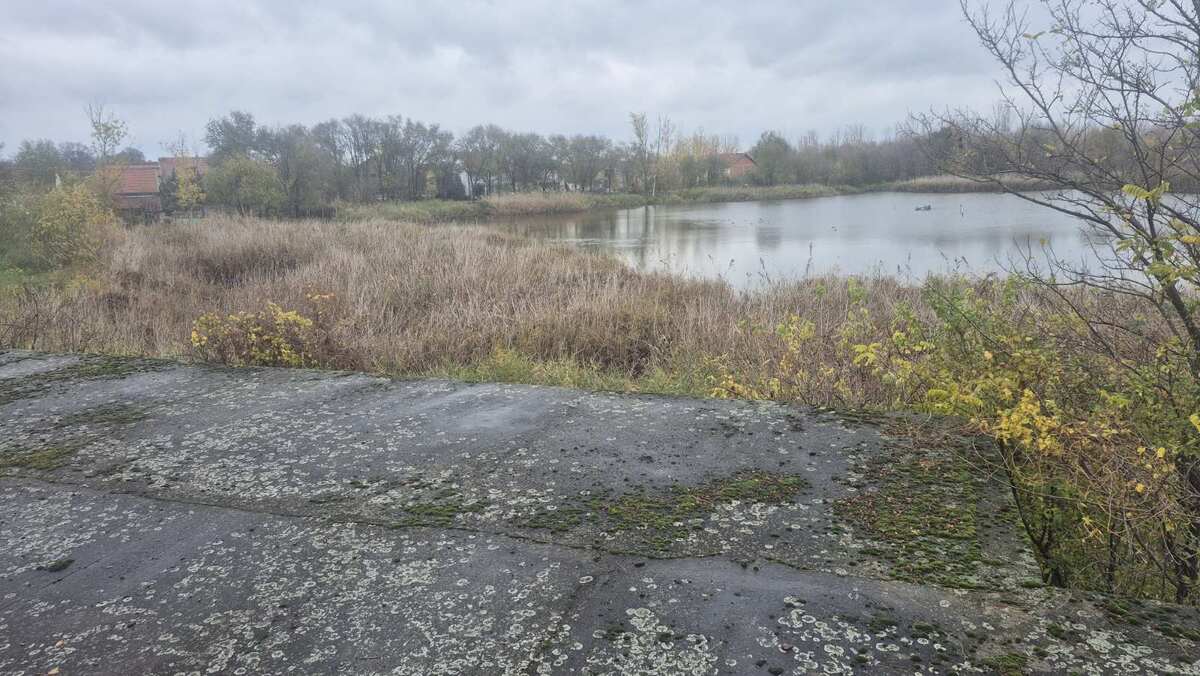 m2Gsigma nekretnine, Žitište okolina, Žitište, više od šest soba kuća na prodaju, 2498