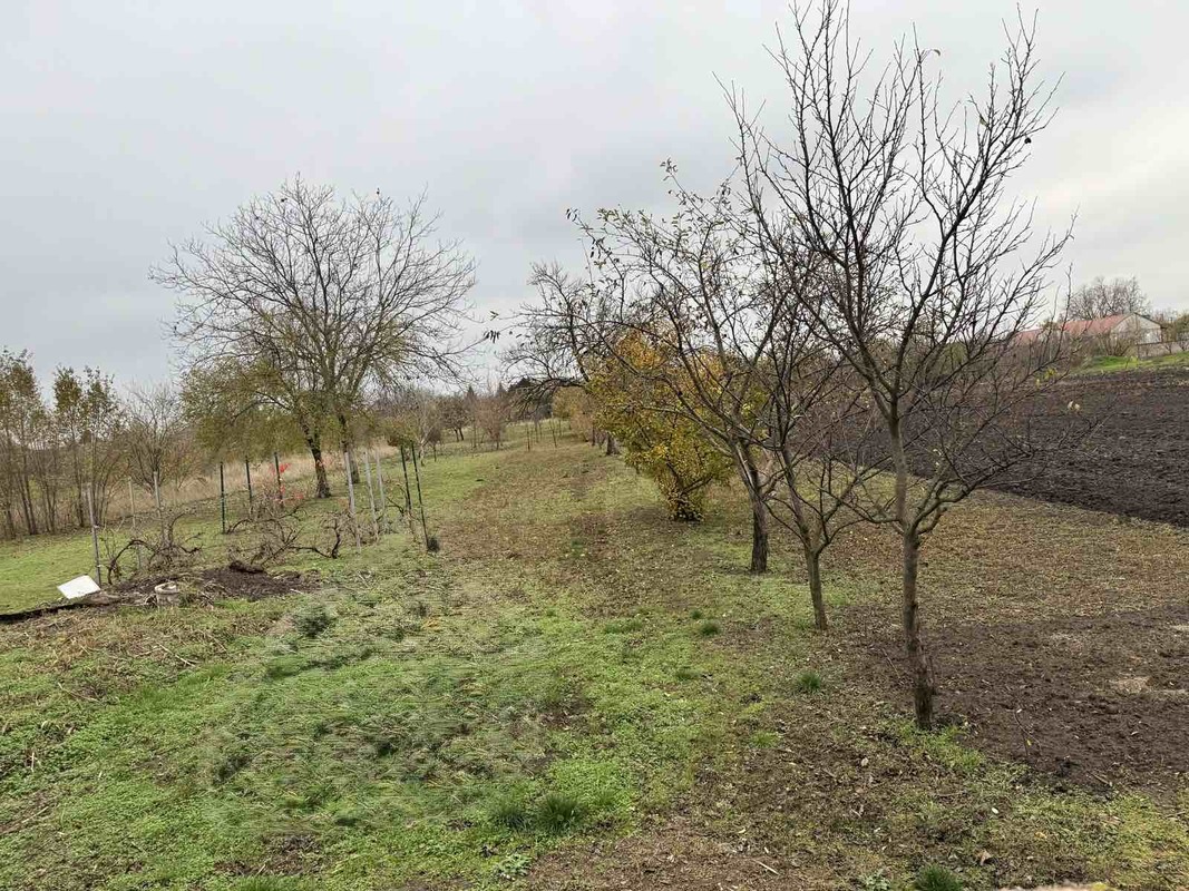 m2Gsigma nekretnine, Zrenjanin, Mužlja, dvoiposobna kuća na prodaju, 2513