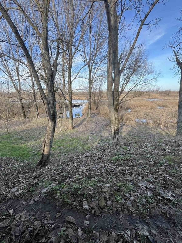 m2Gsigma nekretnine, Zrenjanin okolina, Perlez, vikendica, vikend zona, tiganjica, carska bara, petosobna vikendica na prodaju, 2532