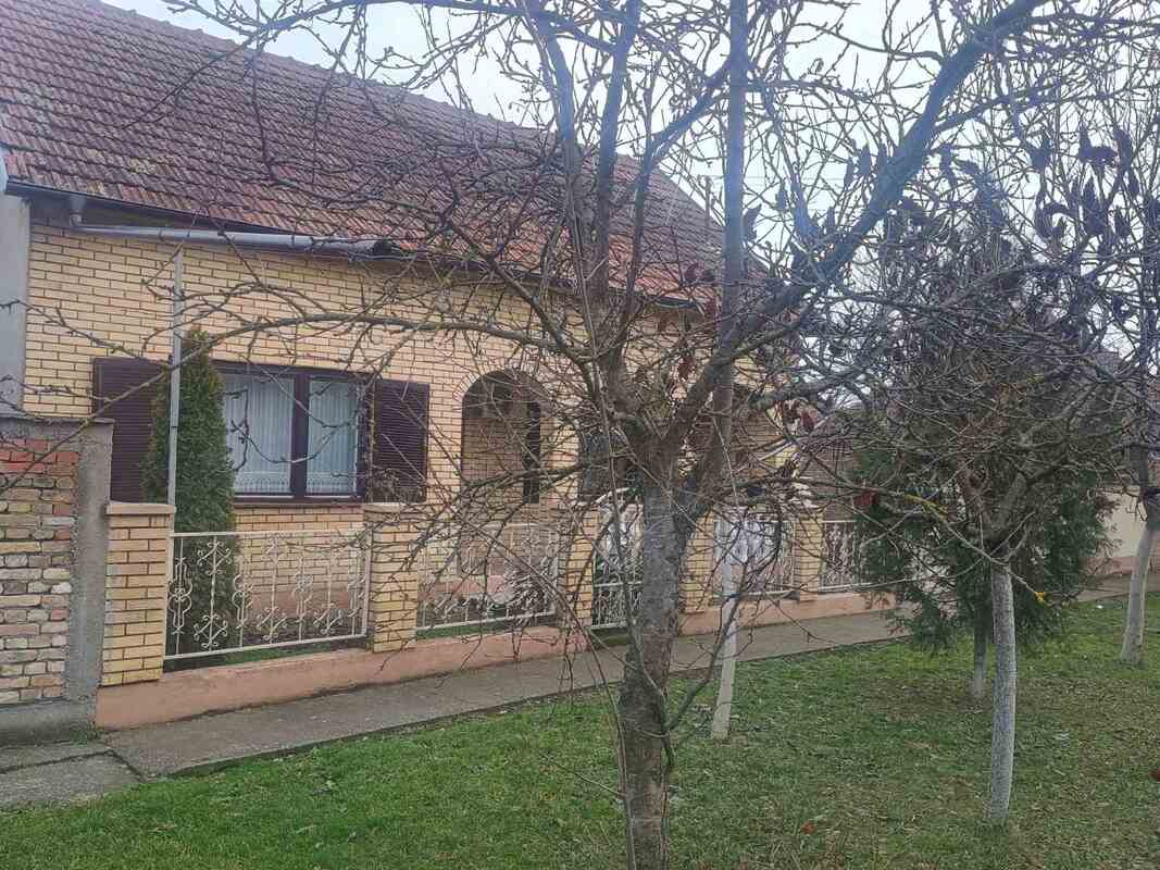 m2Gsigma nekretnine, Kikinda okolina, Bašaid, petosobna kuća na prodaju, 2533