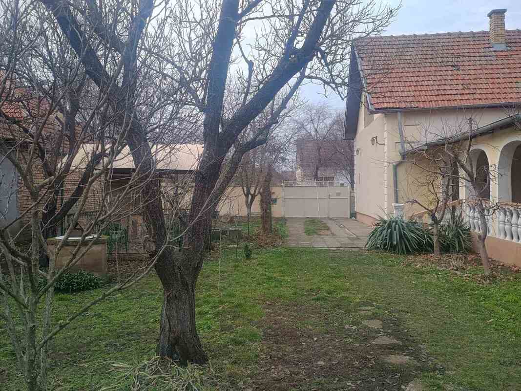 m2Gsigma nekretnine, Kikinda okolina, Bašaid, petosobna kuća na prodaju, 2533