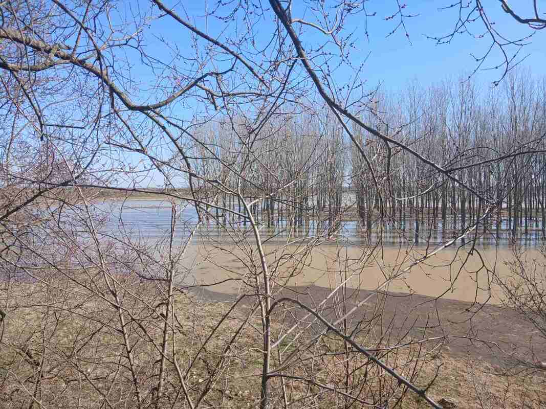 m2Gsigma nekretnine, Zrenjanin okolina, Farkaždin, dvoiposobna kuća na prodaju, 2542