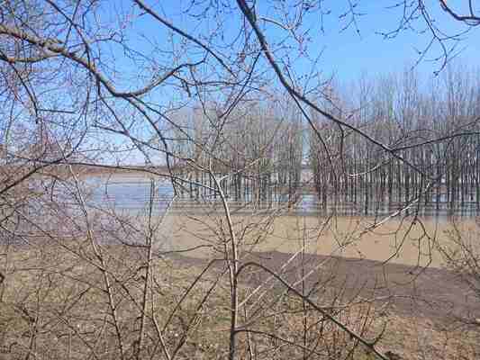 kuća, na prodaju, Zrenjanin, Farkaždin