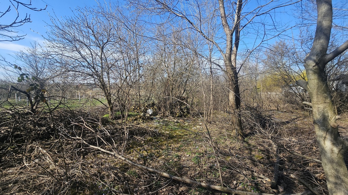 m2Gsigma nekretnine, Zrenjanin, Širi centar, četvorosobna kuća na prodaju, 2551