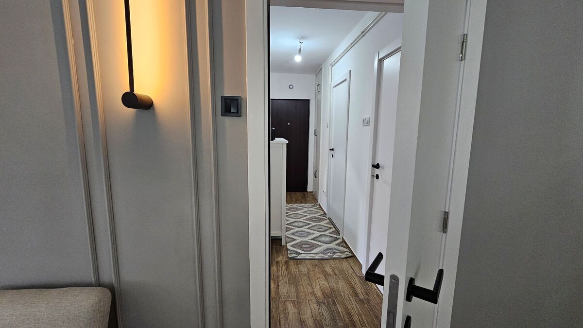 m2Gsigma nekretnine, Zrenjanin, Ruža Šulman, dvosoban stan na prodaju, 2554