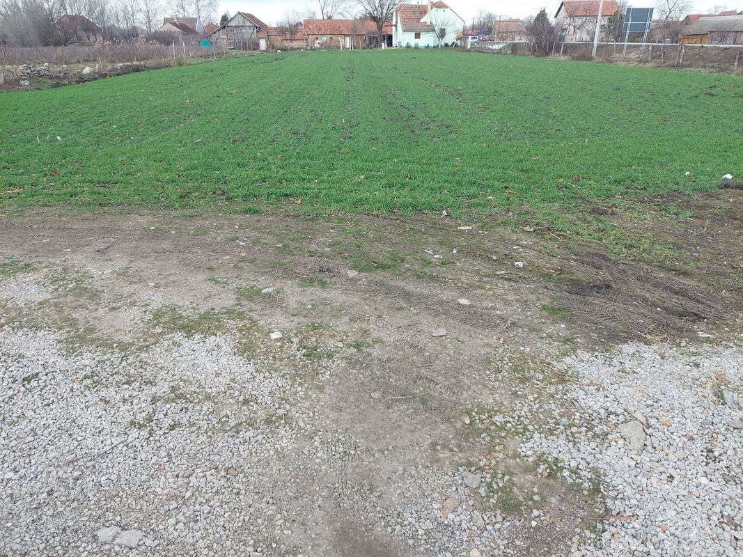 m2Gsigma nekretnine, Žitište okolina, Banatsko Karađorđevo, trosobna kuća na prodaju, 2559