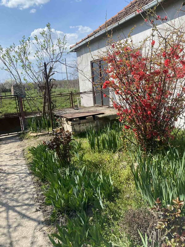 m2Gsigma nekretnine, Zrenjanin okolina, Lukino Selo, četvorosobna kuća na prodaju, 2592