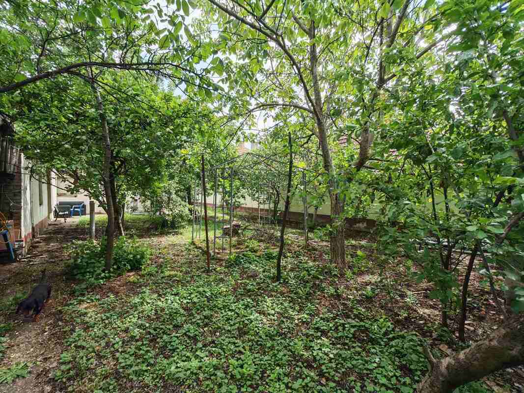 m2Gsigma nekretnine, Zrenjanin, Duvanika, dvoiposobna kuća na prodaju, 2594