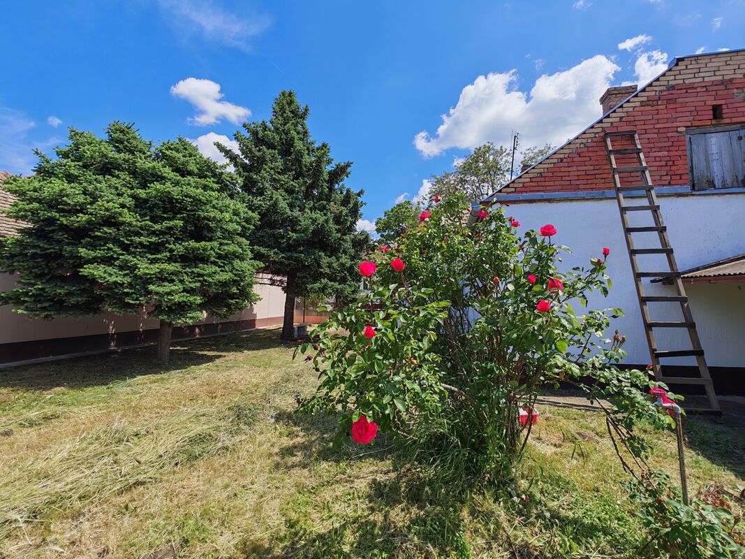 m2Gsigma nekretnine, Zrenjanin, Mužlja, trosobna kuća na prodaju, 2595