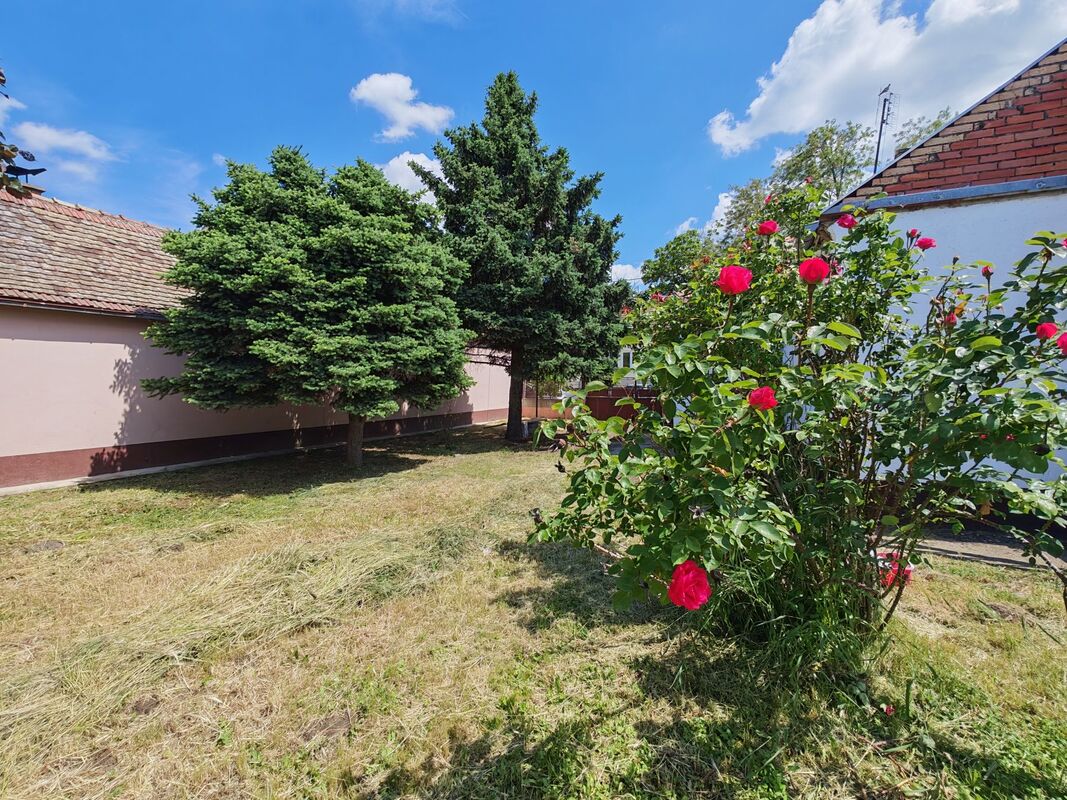 m2Gsigma nekretnine, Zrenjanin, Mužlja, trosobna kuća na prodaju, 2595