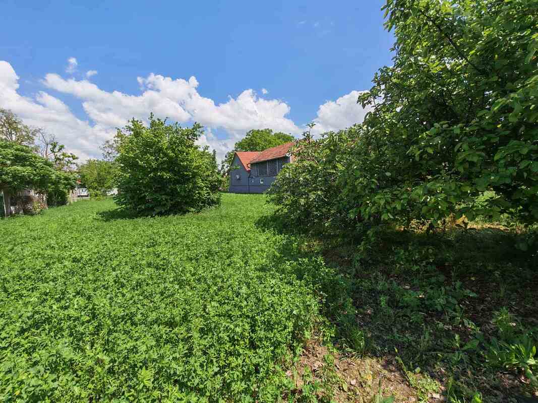 m2Gsigma nekretnine, Zrenjanin okolina, Elemir, troiposobna kuća na prodaju, 2601