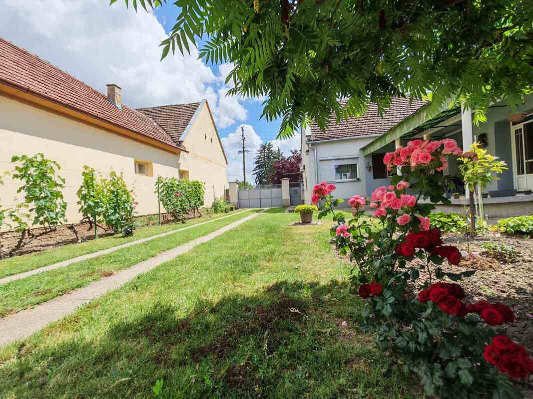 m2Gsigma nekretnine, Zrenjanin okolina, Melenci, trosobna kuća na prodaju, 2616