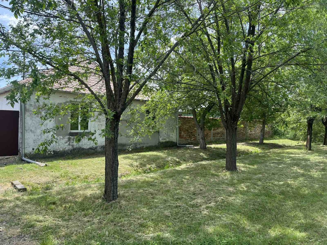 m2Gsigma nekretnine, Zrenjanin okolina, Lukino Selo, poslovni prostor na prodaju, 2623