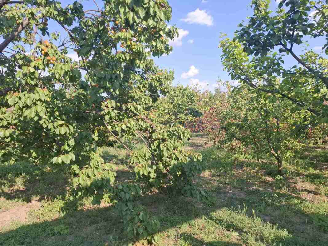 m2Gsigma nekretnine, Zrenjanin, Duvanika, više od šest soba kuća na prodaju, 2629