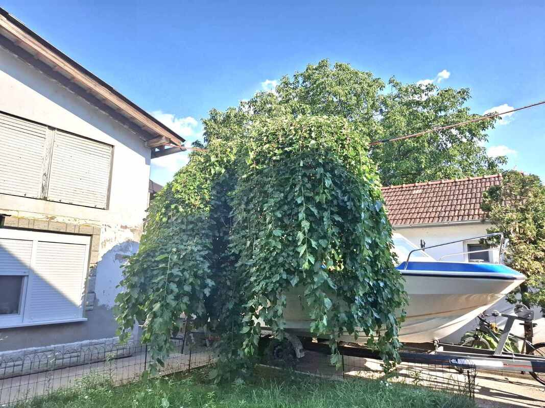 m2Gsigma nekretnine, Zrenjanin, Duvanika, više od šest soba kuća na prodaju, 2629