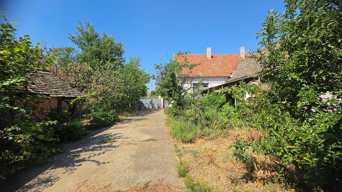 m2Gsigma nekretnine, Zrenjanin, Šumica, četvoroiposobna kuća na prodaju, 2653