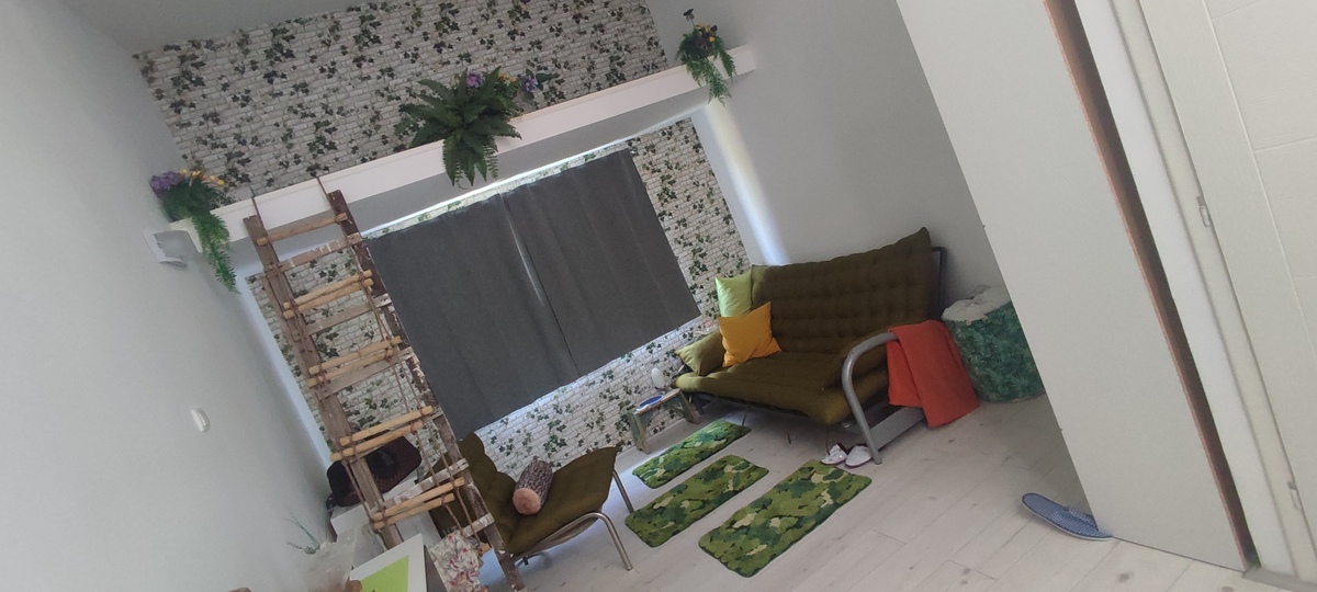 m2Gsigma nekretnine, Zrenjanin okolina, Taraš, jednosobna kuća na prodaju, 2674