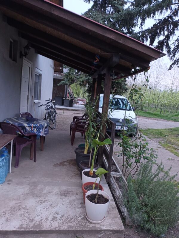 m2Gsigma nekretnine, Zrenjanin okolina, Klek, Klečki Vinogradi, dvosobna vikendica na prodaju, 2688