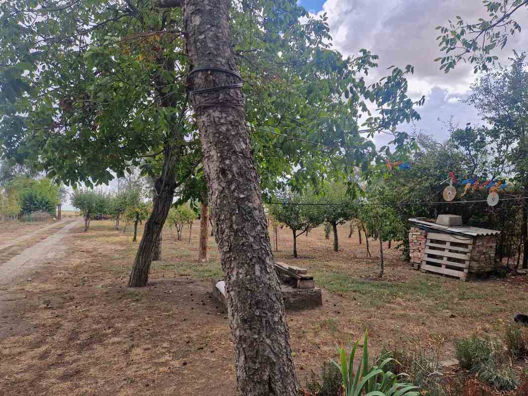 m2Gsigma nekretnine, Zrenjanin okolina, Klek, Klečki Vinogradi, dvosobna vikendica na prodaju, 2688