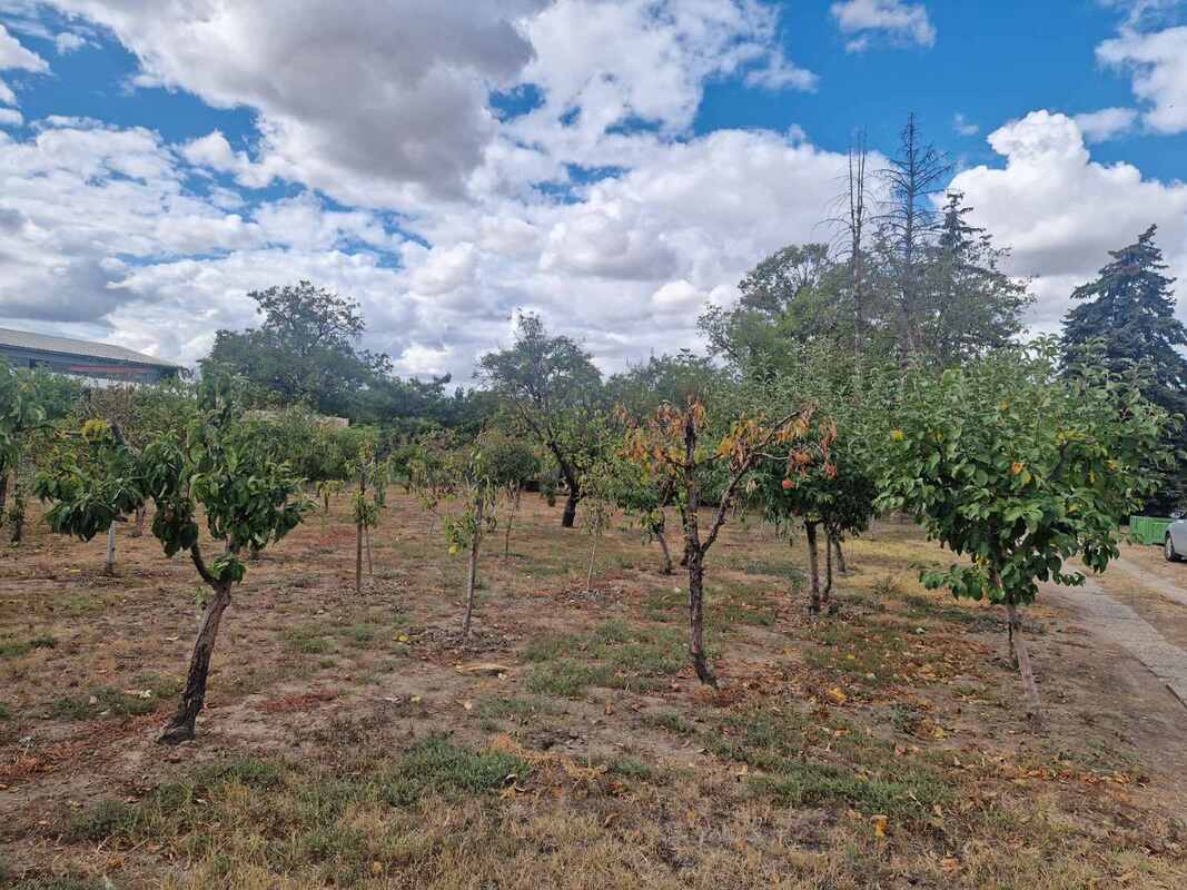 m2Gsigma nekretnine, Zrenjanin okolina, Klek, Klečki Vinogradi, dvosobna vikendica na prodaju, 2688