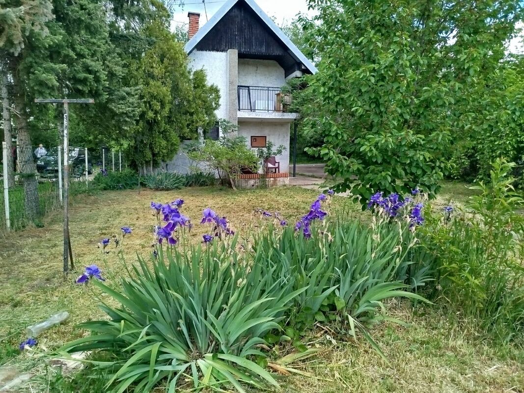 m2Gsigma nekretnine, Zrenjanin okolina, Klek, Klečki Vinogradi, jednoiposobna vikendica na prodaju, 2696