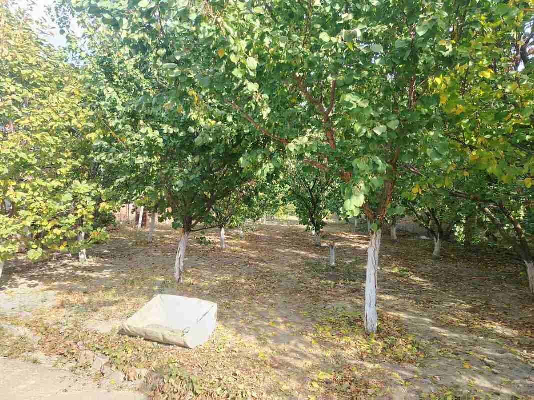 m2Gsigma nekretnine, Zrenjanin okolina, Melenci, trosobna kuća na prodaju, 2702