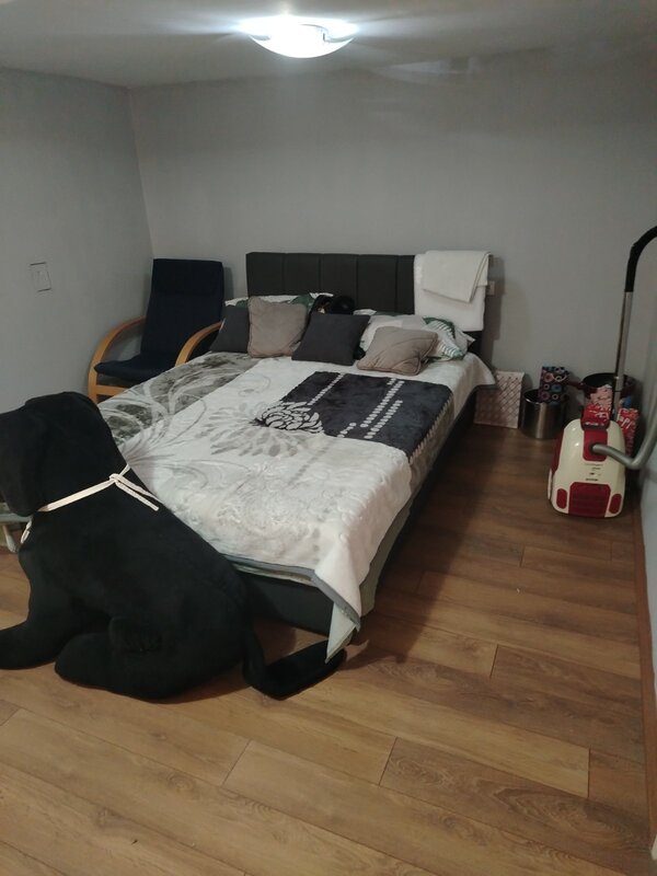 m2Gsigma nekretnine, Zrenjanin okolina, Melenci, trosobna kuća na prodaju, 2702